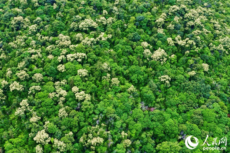 人民网关注永泰洋中村：“空心村”“薄弱村”的破局密码