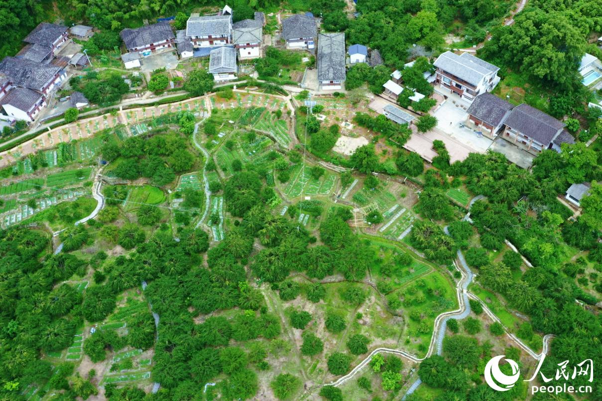 人民网关注永泰洋中村：“空心村”“薄弱村”的破局密码