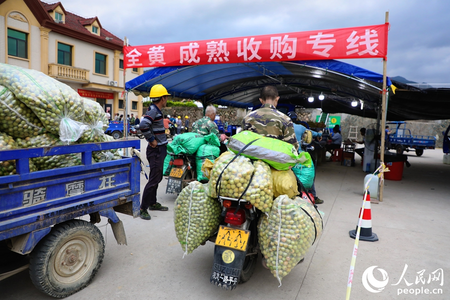 人民网关注永泰洋中村：“空心村”“薄弱村”的破局密码