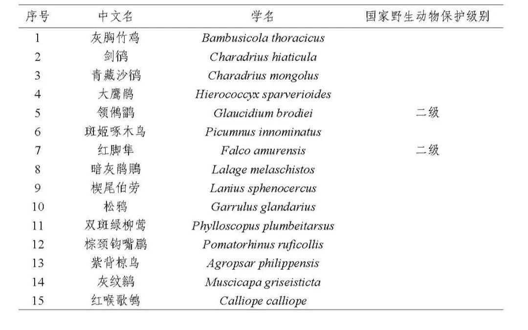 2024年度闽江河口湿地“鸟口普查”结果出炉