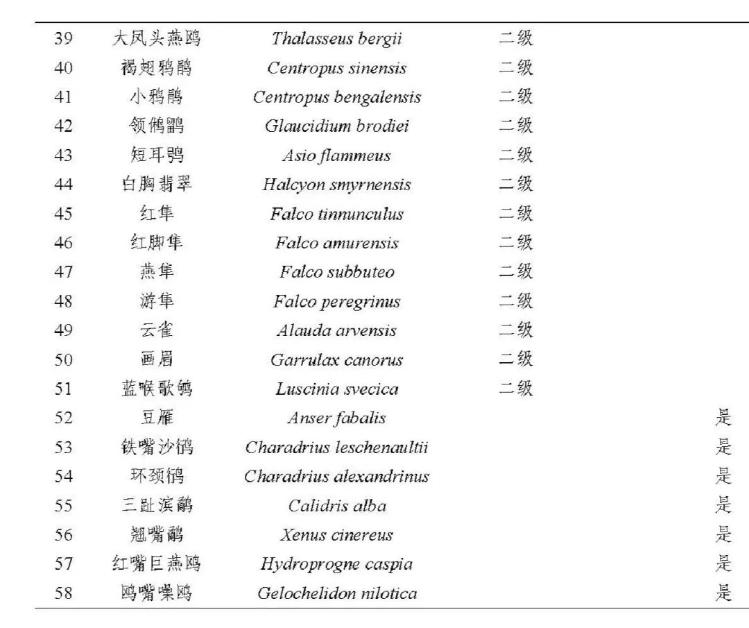 2024年度闽江河口湿地“鸟口普查”结果出炉