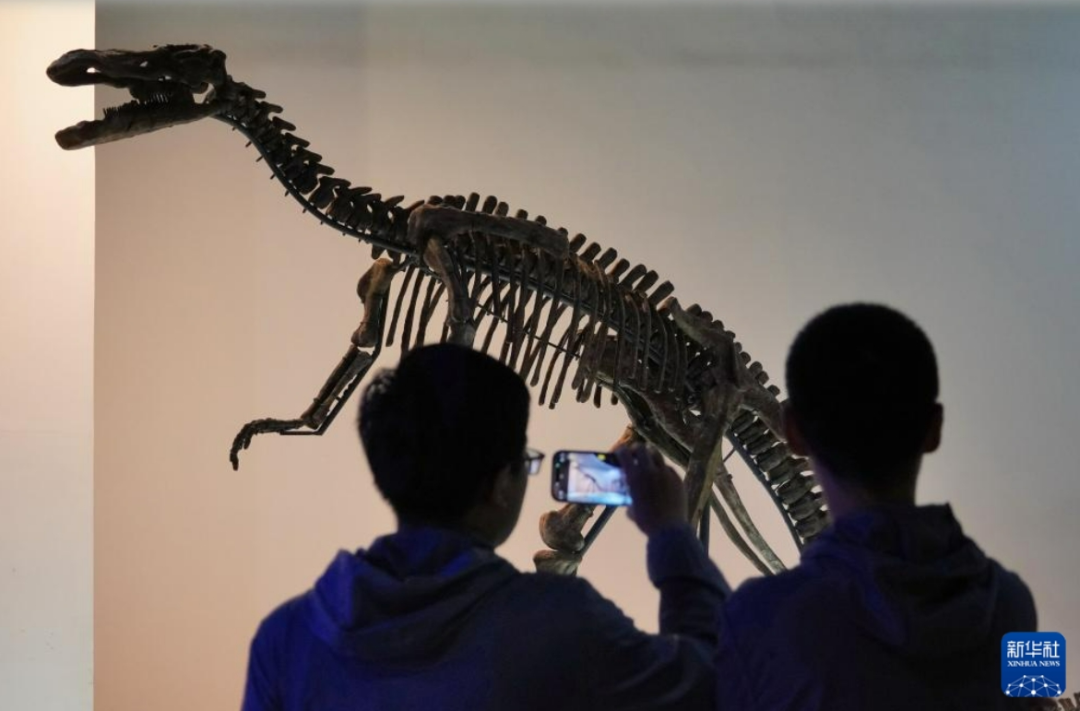 具备条件的博物馆可取消预约限制，值得期待！