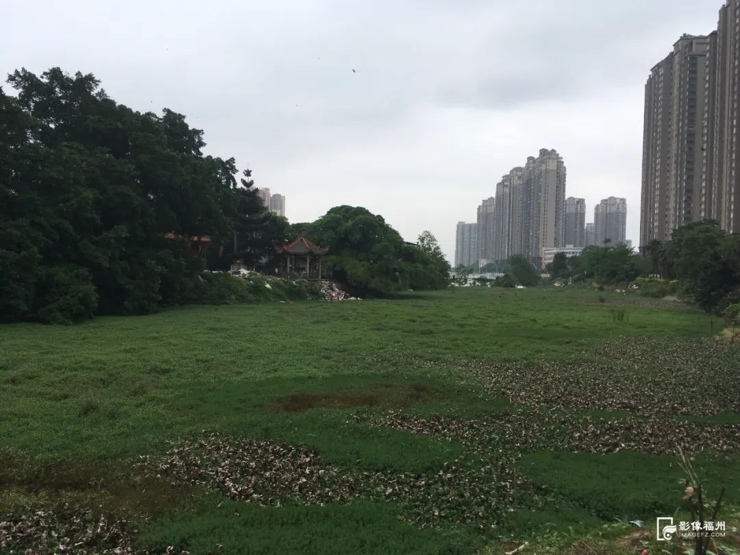 25年福州变化，都在这组图里！