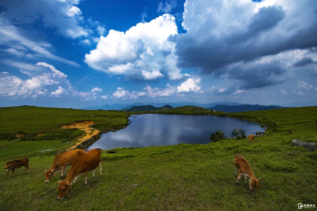 永泰旅游发展再获佳绩