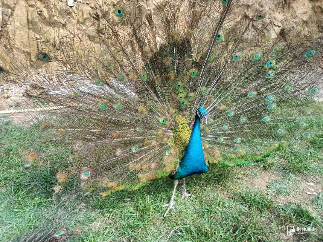 永泰旅游发展再获佳绩