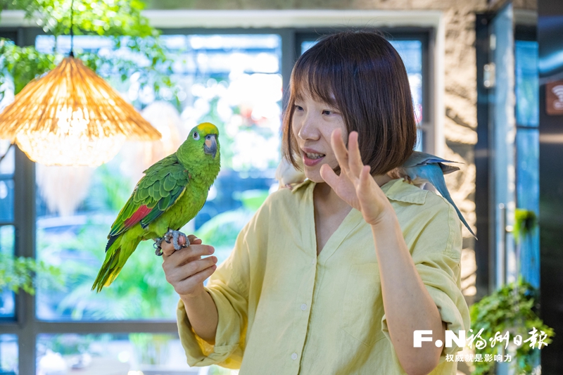 疗愈经济兴起 鸟咖成为年轻人社交新场所