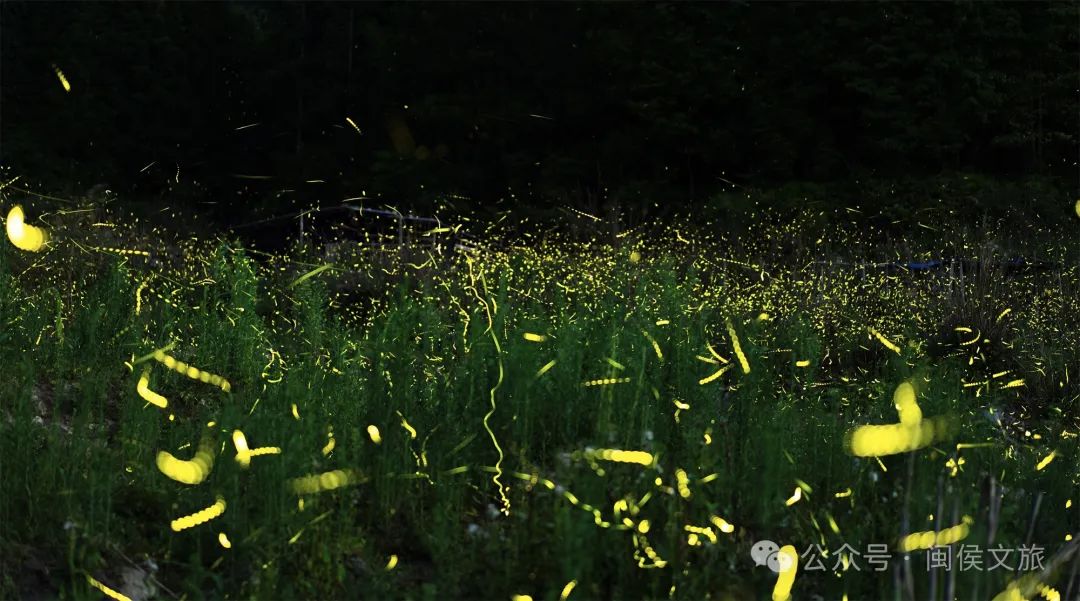 来抄作业！暑期福州这几条遛娃路线，清凉有料不费妈！