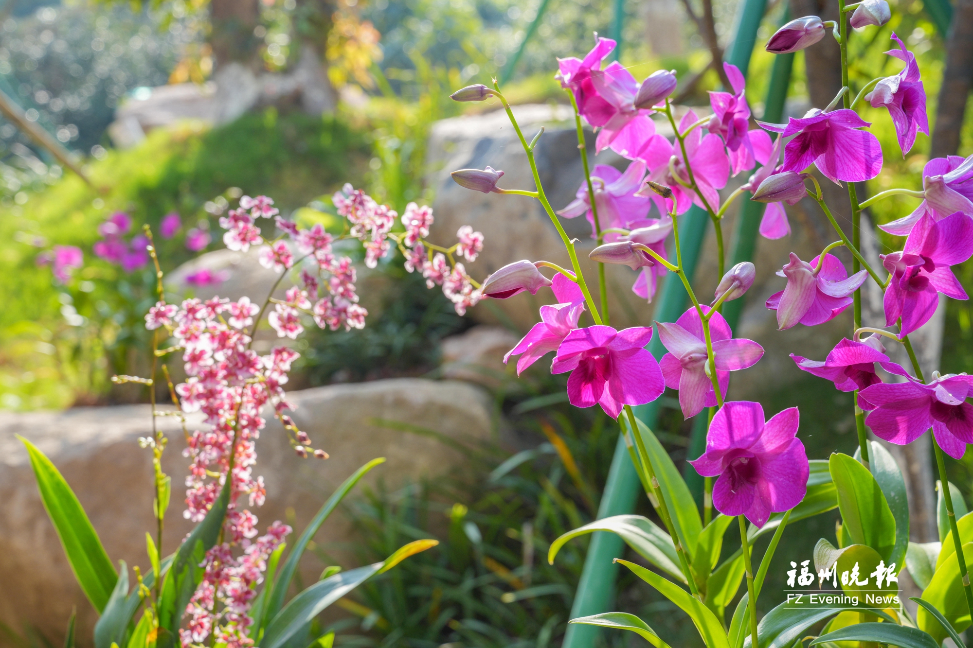 来抄作业！暑期福州这几条遛娃路线，清凉有料不费妈！