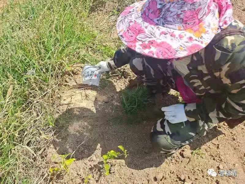 不要碰！发现立即上报！福州有人被咬伤！