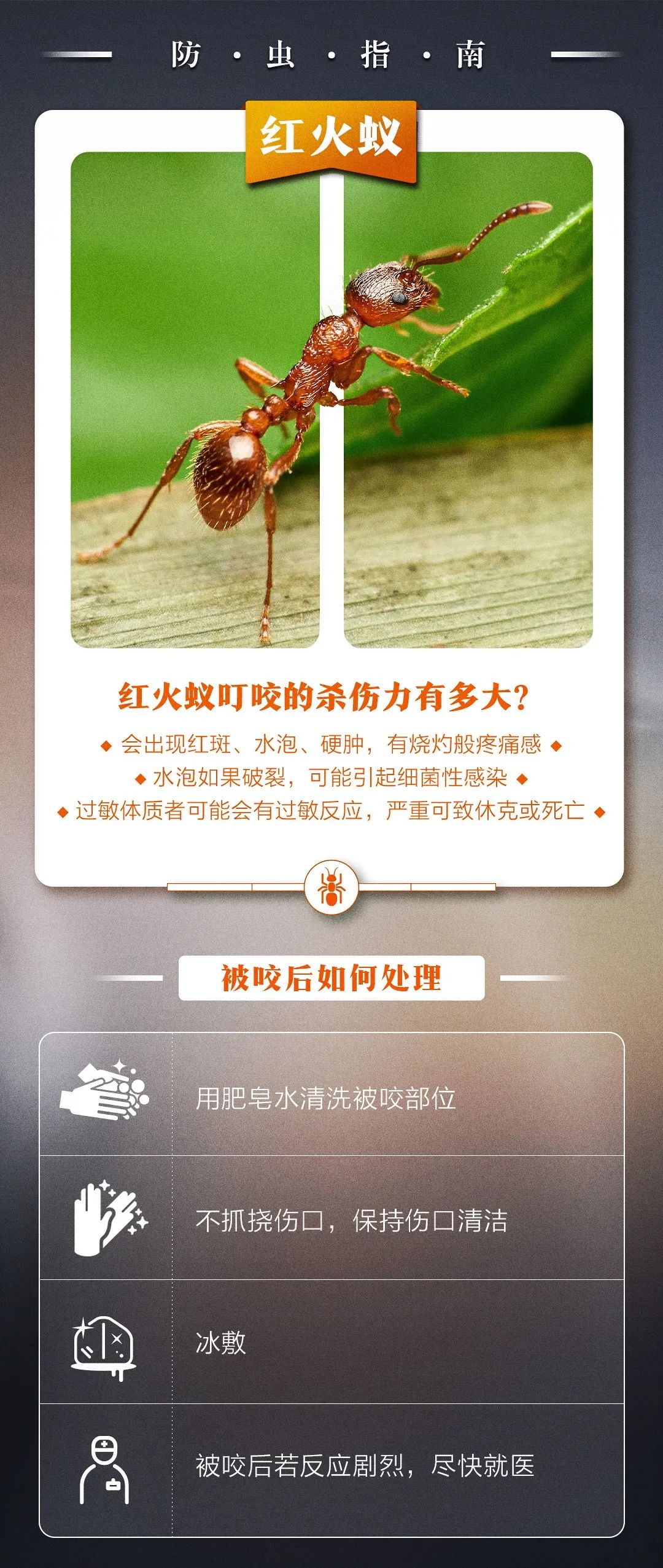 不要碰！发现立即上报！福州有人被咬伤！