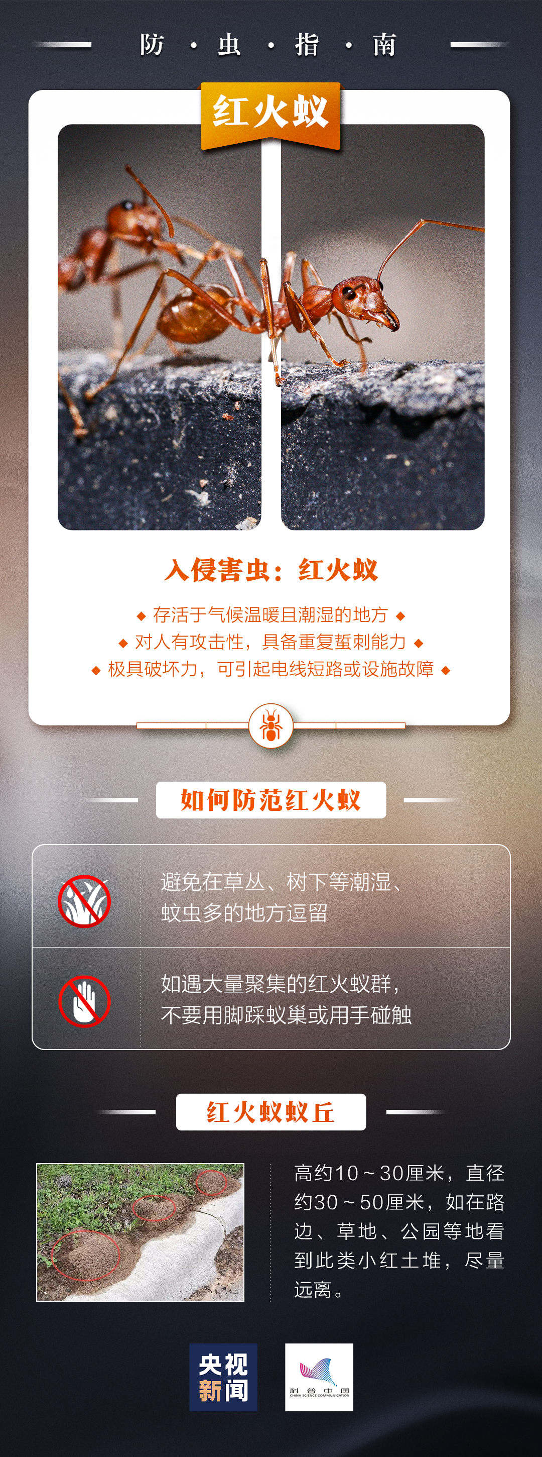 不要碰！发现立即上报！福州有人被咬伤！