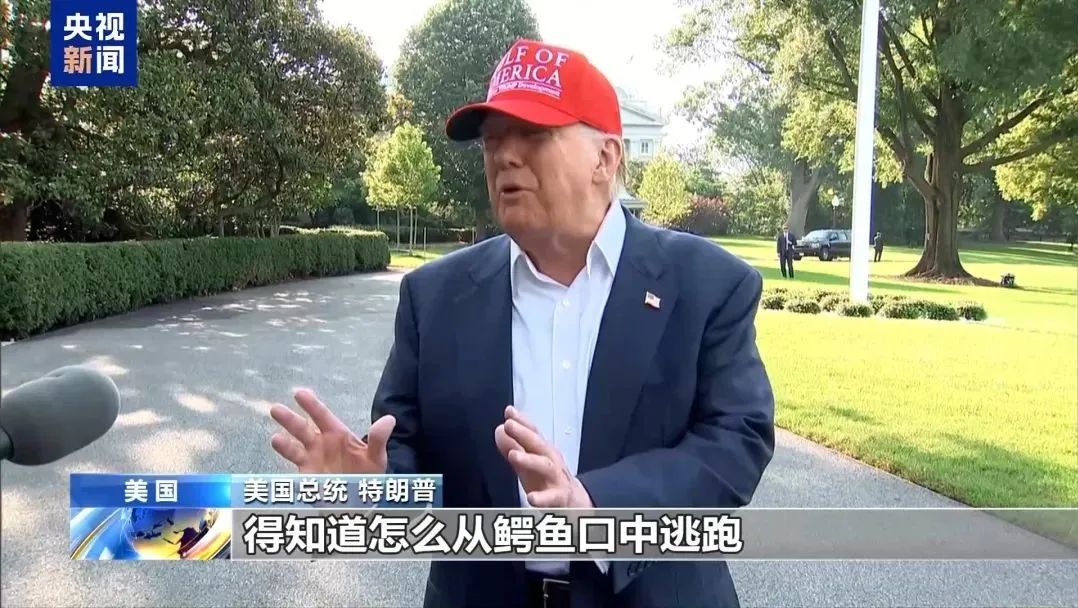 被鳄鱼、蟒蛇包围！美国移民拘留设施“鳄鱼恶魔岛”正式启用