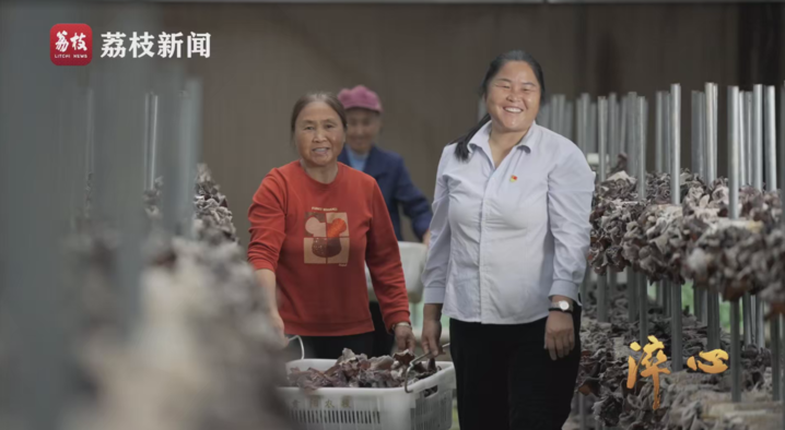 微纪录片《淬心》第二集 | 以百姓心为心