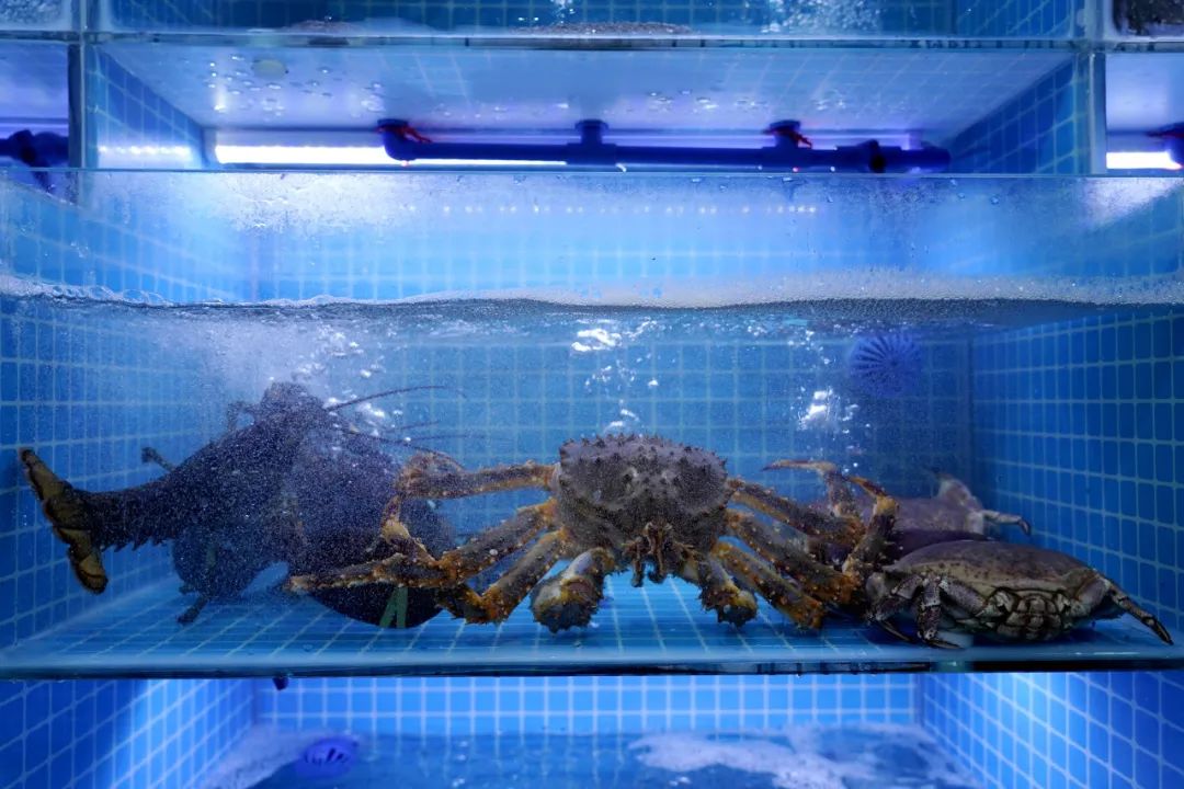 奇台·福州海鲜，上新！