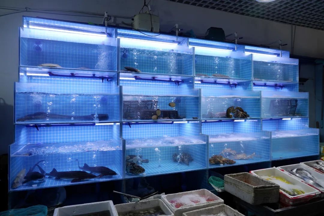 奇台·福州海鲜，上新！