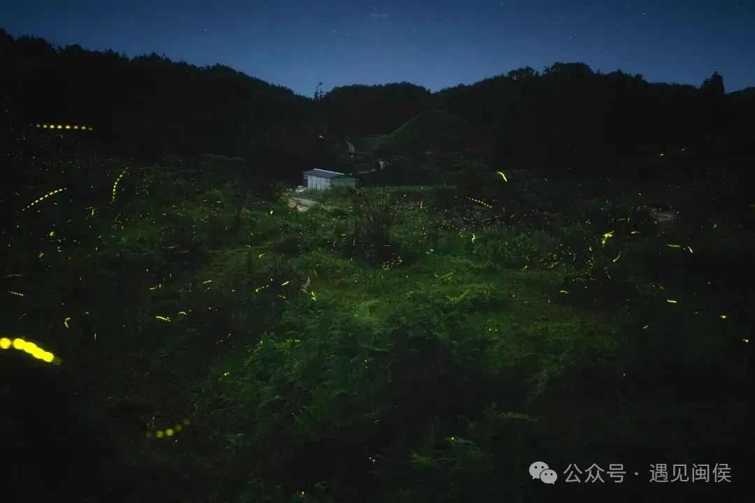 福州“萤火虫星河”火出圈！重头戏来了，想去看的快戳→