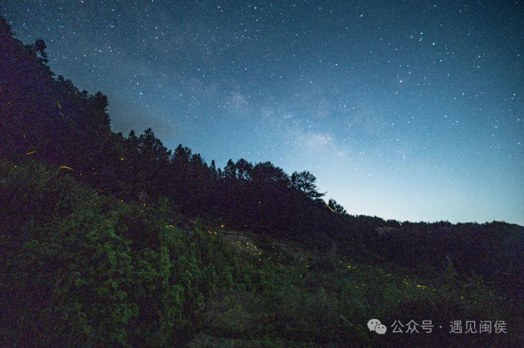 福州“萤火虫星河”火出圈！重头戏来了，想去看的快戳→