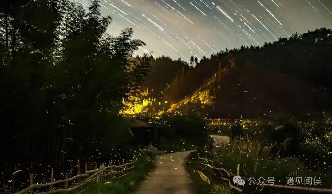 福州“萤火虫星河”火出圈！重头戏来了，想去看的快戳→