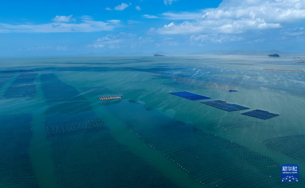 新华社关注连江：深耕“蓝色粮仓” 激活“蓝色动能”