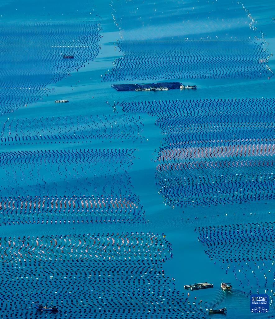 新华社关注连江：深耕“蓝色粮仓” 激活“蓝色动能”