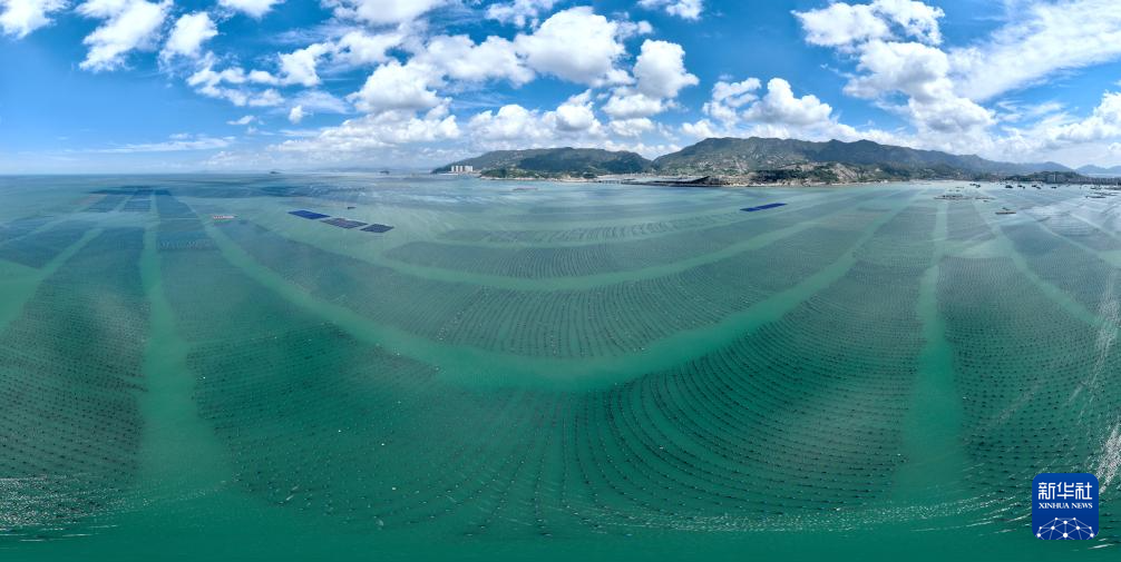 新华社关注连江：深耕“蓝色粮仓” 激活“蓝色动能”