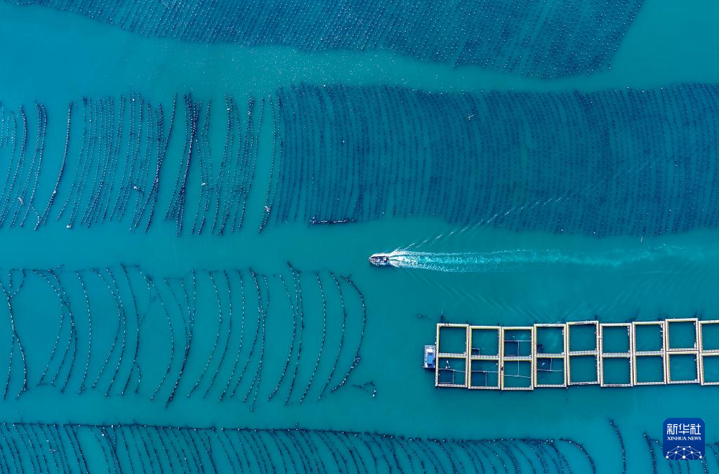 新华社关注连江：深耕“蓝色粮仓” 激活“蓝色动能”