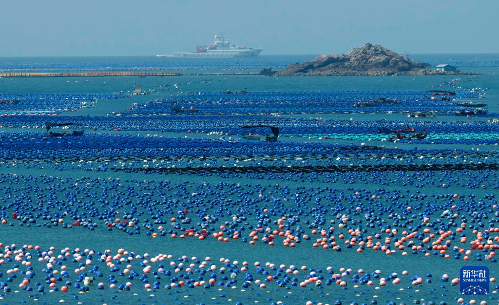 新华社关注连江：深耕“蓝色粮仓” 激活“蓝色动能”