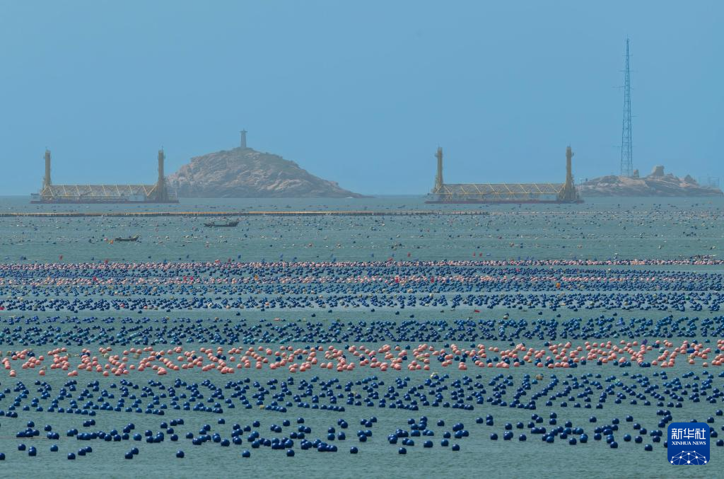 新华社关注连江：深耕“蓝色粮仓” 激活“蓝色动能”