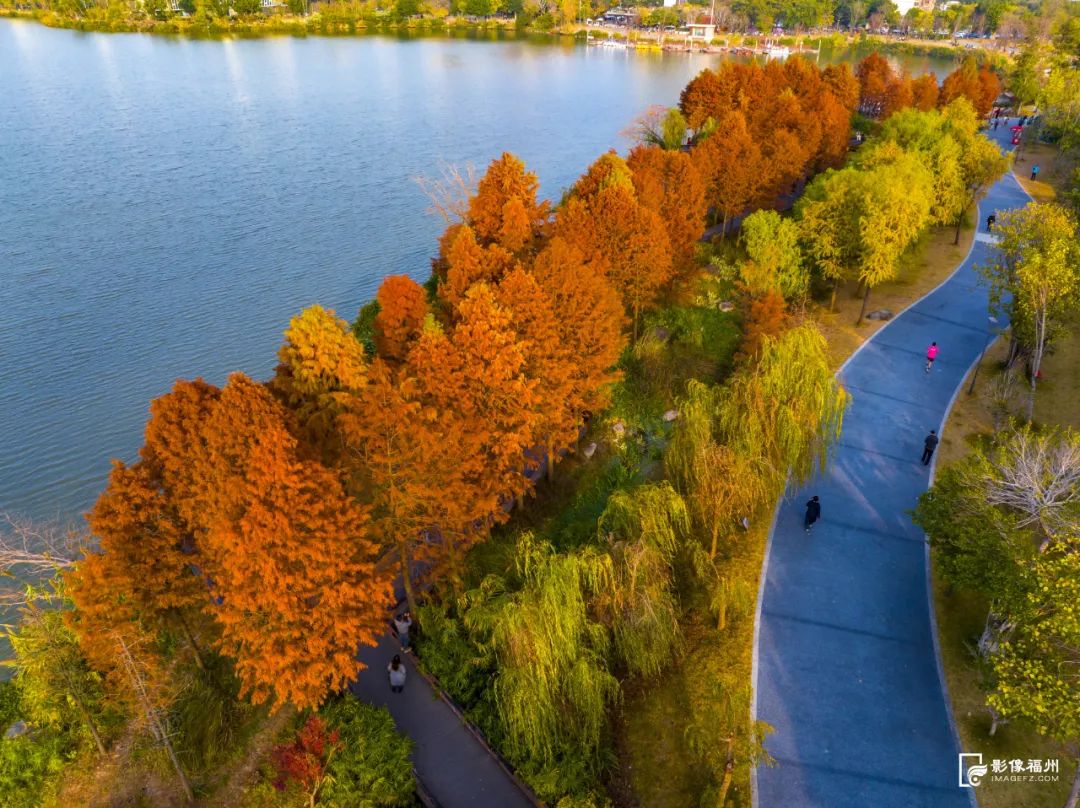 福州美上央视！等你来拍！