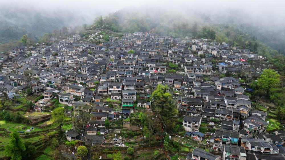 镜观·回响｜珠水悠悠 粤韵流芳