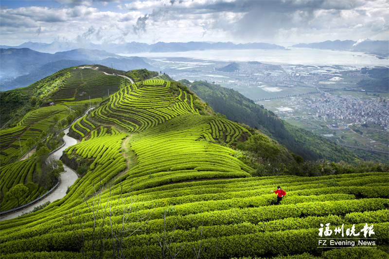 小暑到来，福州人消暑有“凉”策