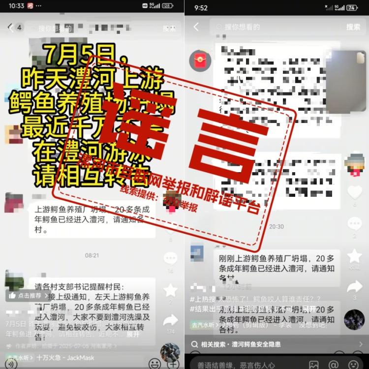 20多条成年鳄鱼进入澧河？不实