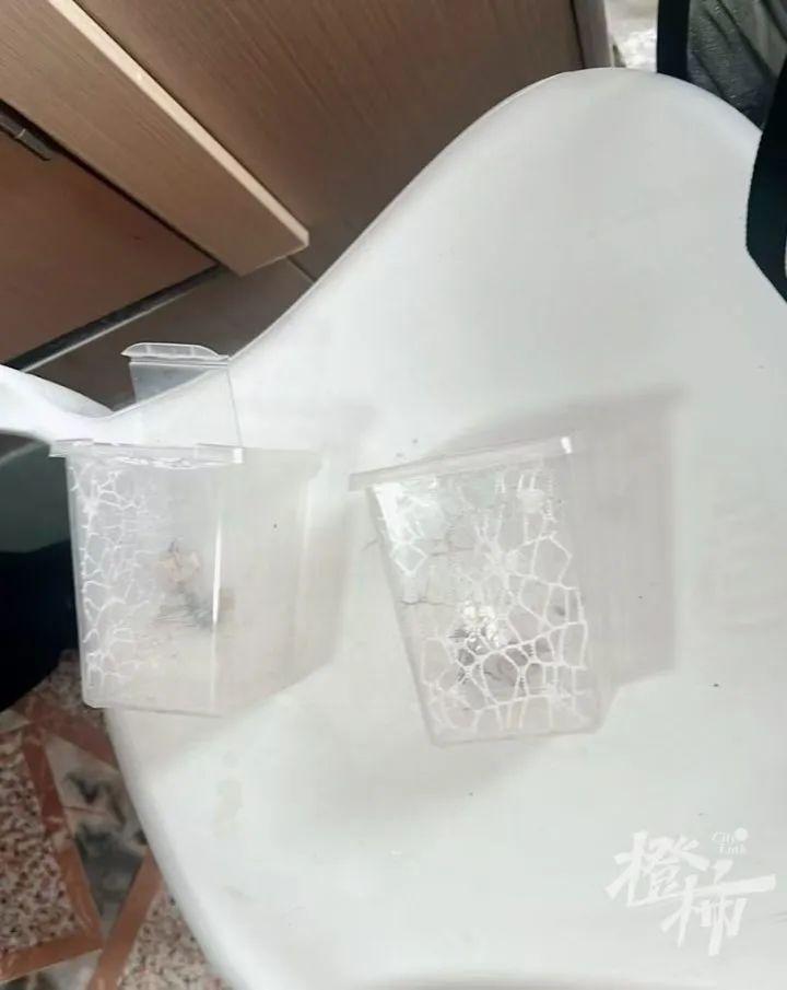 男子误杀邻居宠物螳螂赔偿400元