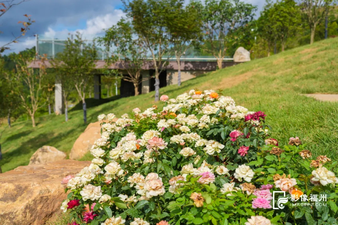 鼓岭再添新地标！即将开放迎客！