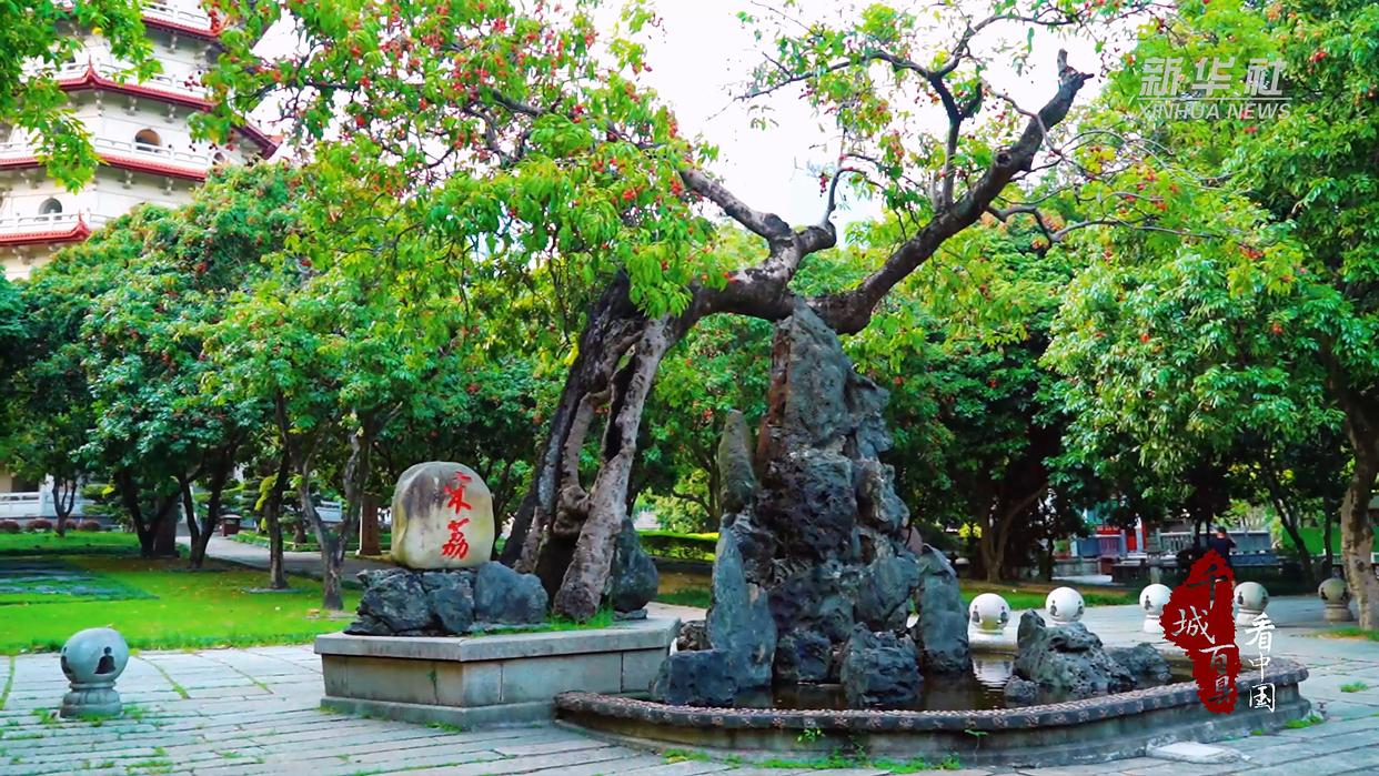 千城百县看中国｜福州鼓楼：荔红映古厝 荷风醉西湖