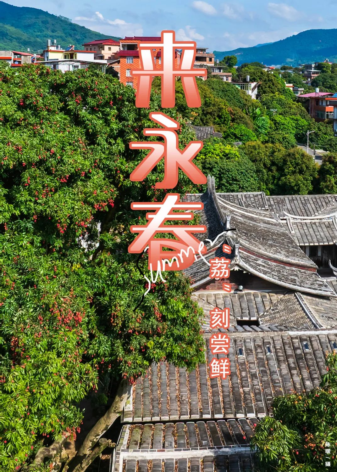 夏天的甜蜜，它知道！