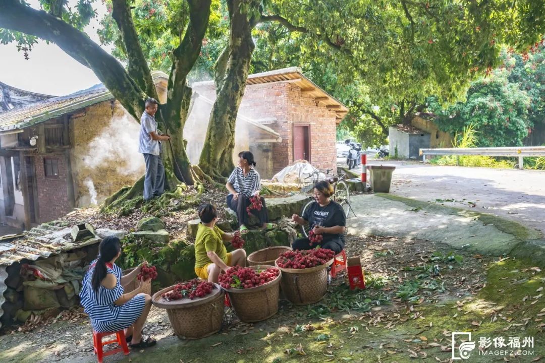 夏天的甜蜜，它知道！