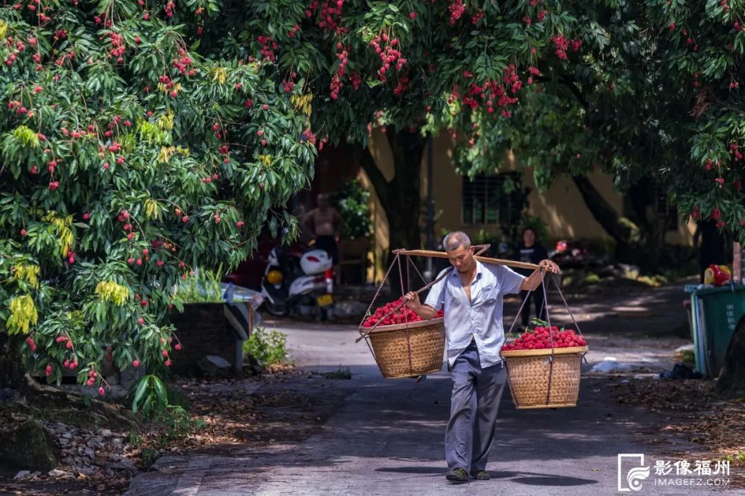 夏天的甜蜜，它知道！