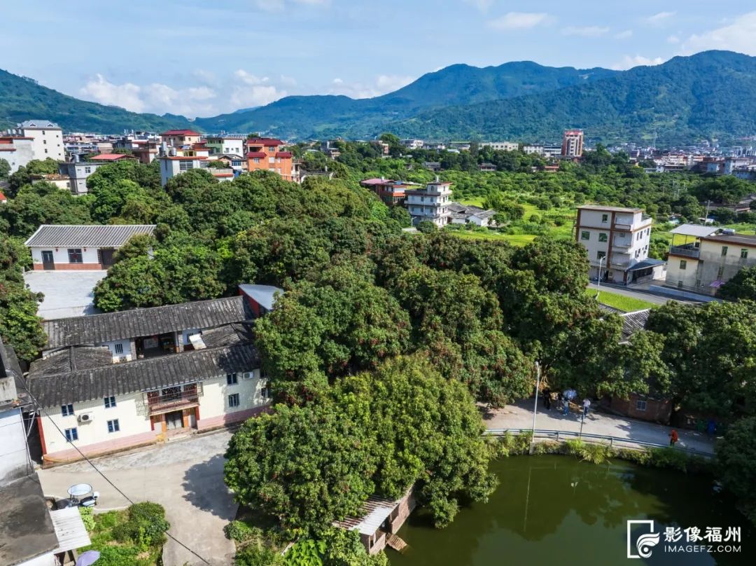 夏天的甜蜜，它知道！