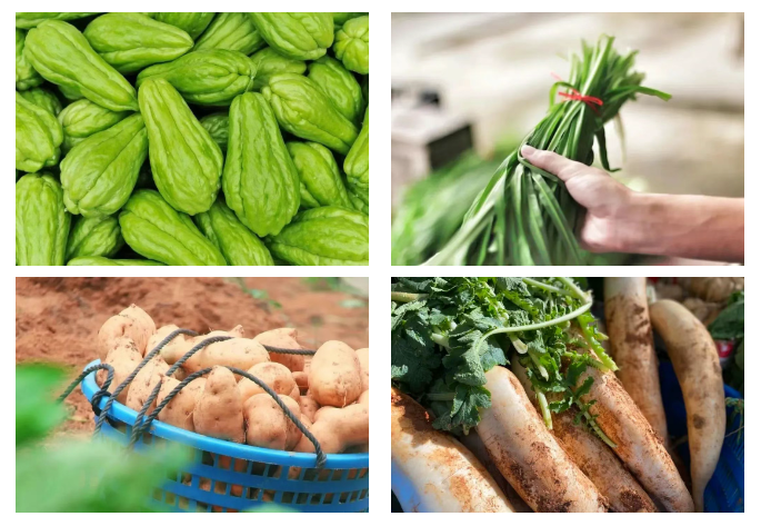 来福州 享受鼓岭