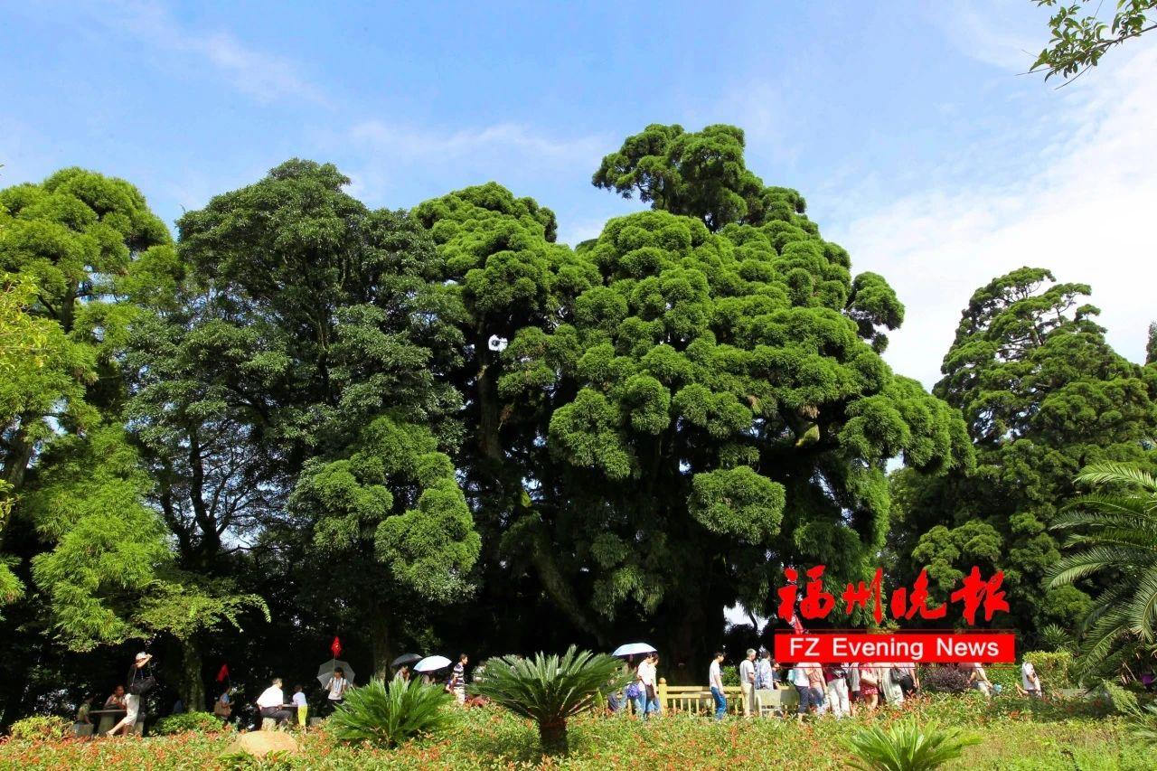 来福州 享受鼓岭