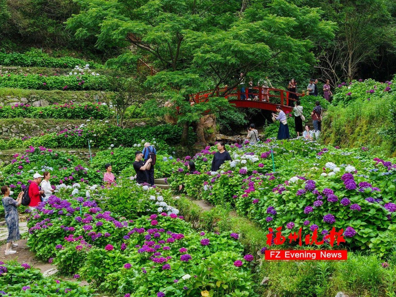 来福州 享受鼓岭