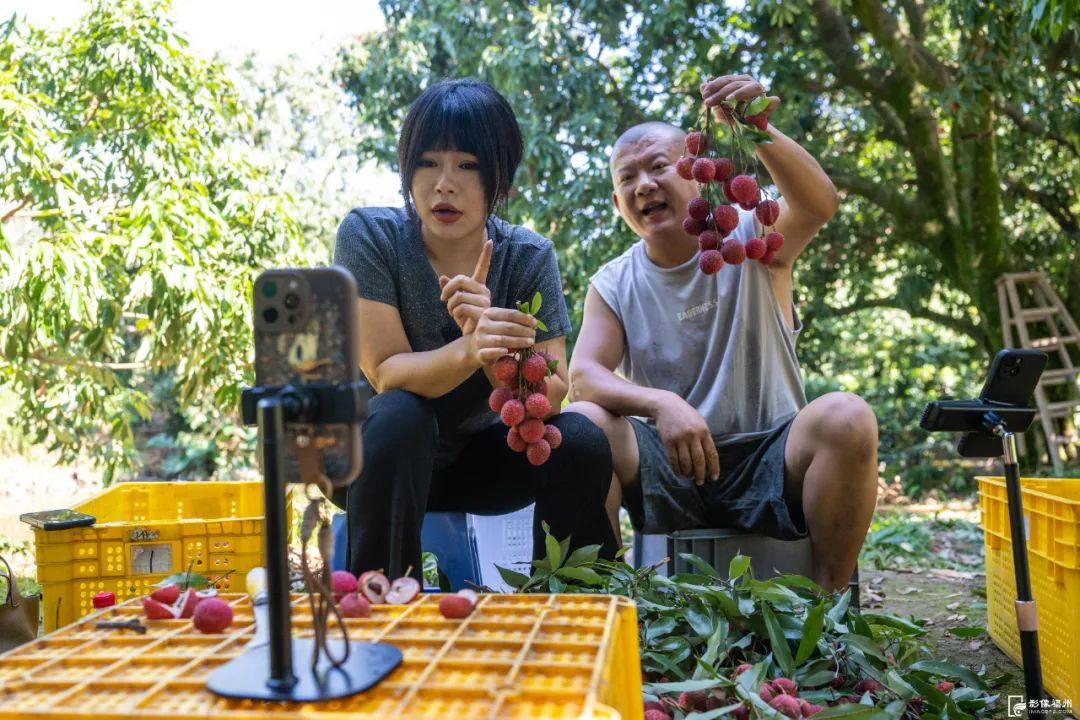 闽侯最大!115万斤!甜蜜上市! 闽侯最大!115万斤!甜蜜上市!