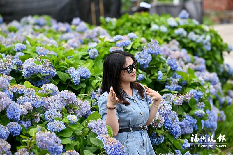 闽侯七大秘境诠释夏日清凉美学