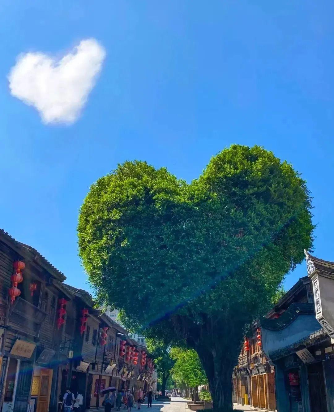 习近平总书记提到的福建故事，是这座城的千年记忆