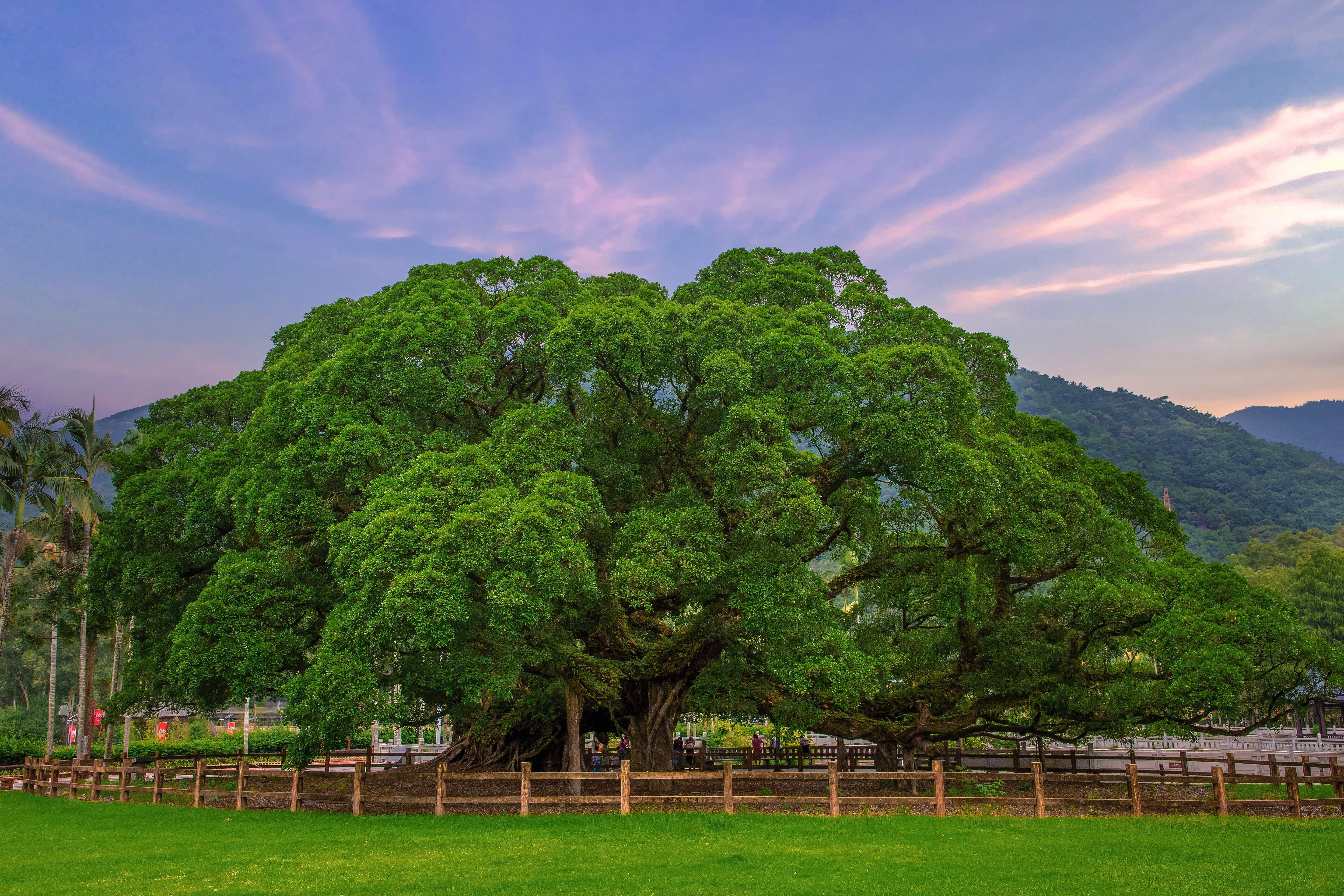 习近平总书记提到的福建故事，是这座城的千年记忆