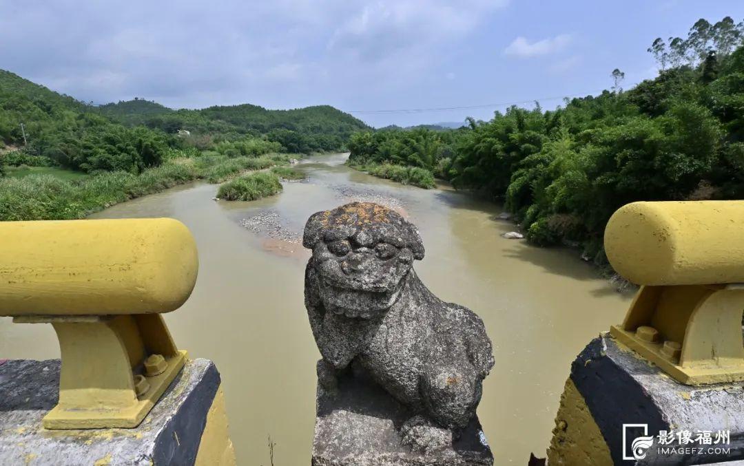 采莲啦!福州这个村“荷”你有约 采莲啦!福州这个村“荷”你有约