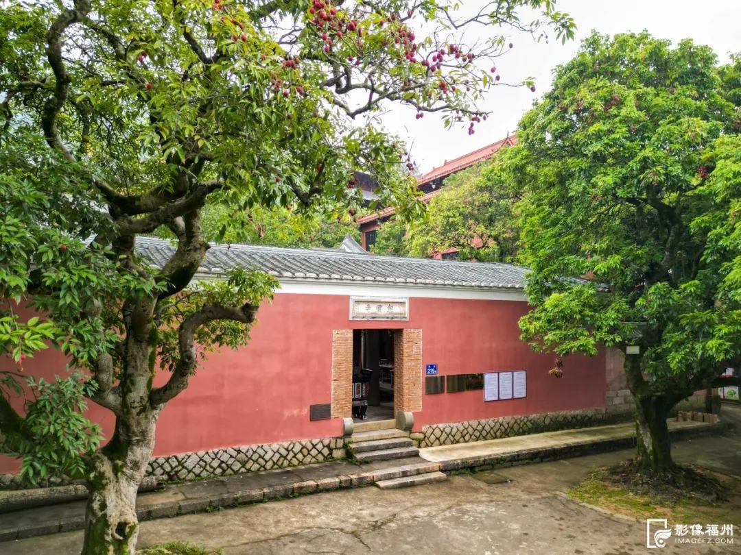 一大波夏季时令水果来袭，赶紧去尝鲜吧！