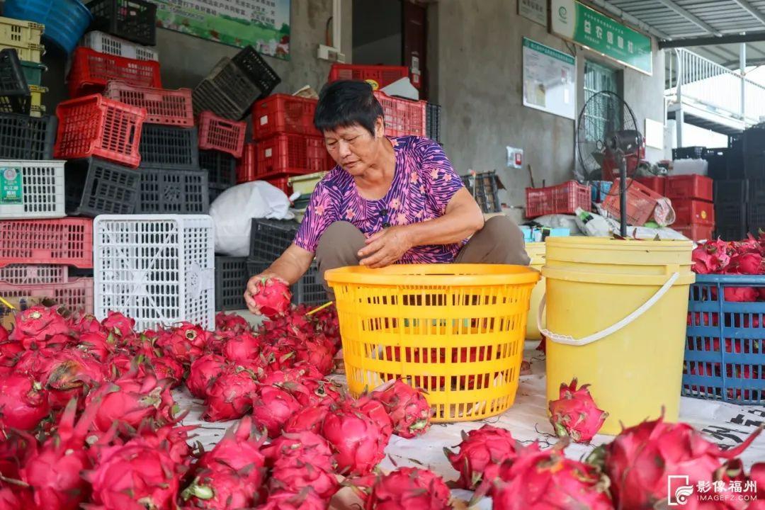 一大波夏季时令水果来袭，赶紧去尝鲜吧！