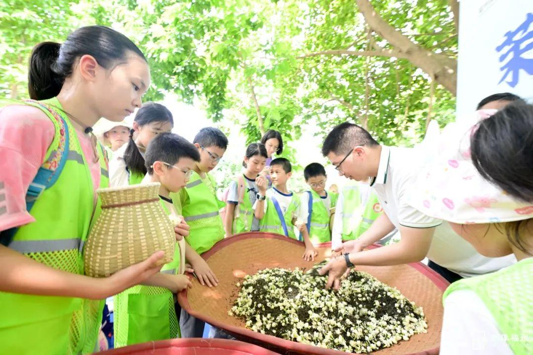文化演出、窨制工艺、非遗市集……福味“文化大餐”邀你共品！